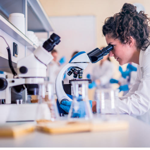 Laboratorio Analisis de Alimentos